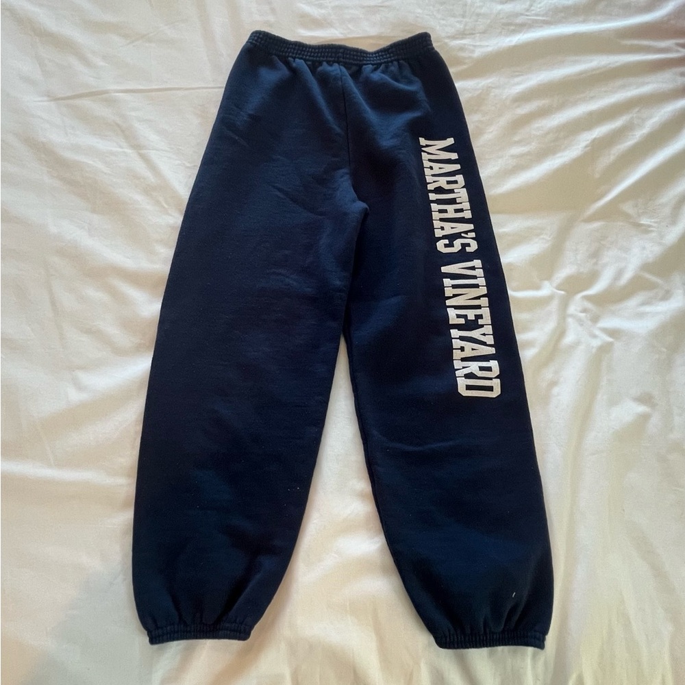 Hanes EcoSmart Navy Sweatpants